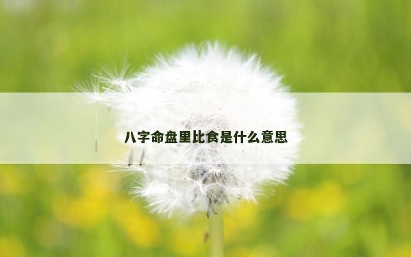 八字命盘里比食是什么意思