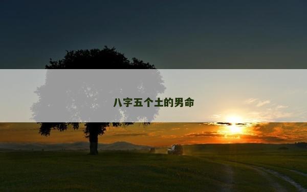 八字五个土的男命