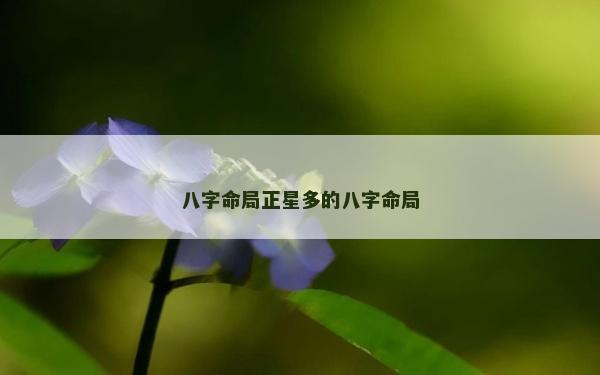 八字命局正星多的八字命局