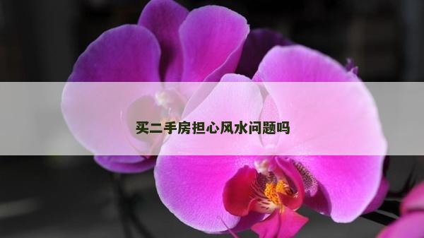 买二手房担心风水问题吗