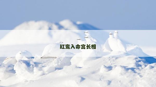 红鸾入命宫长相