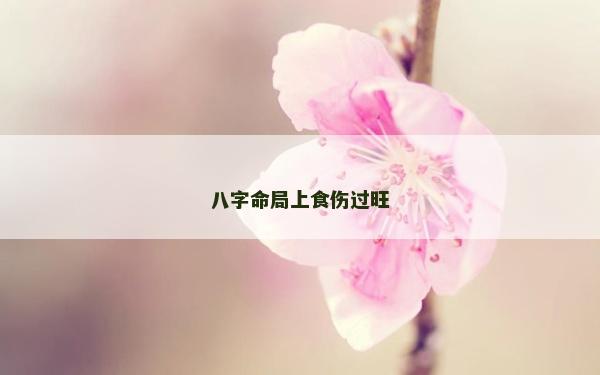 八字命局上食伤过旺
