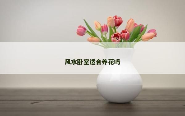 风水卧室适合养花吗