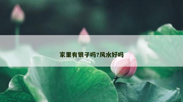 家里有银子吗?风水好吗