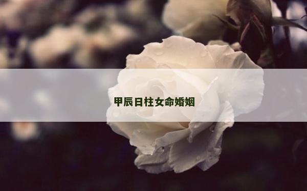 甲辰日柱女命婚姻