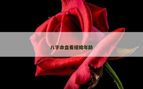 八字命盘看结婚年龄