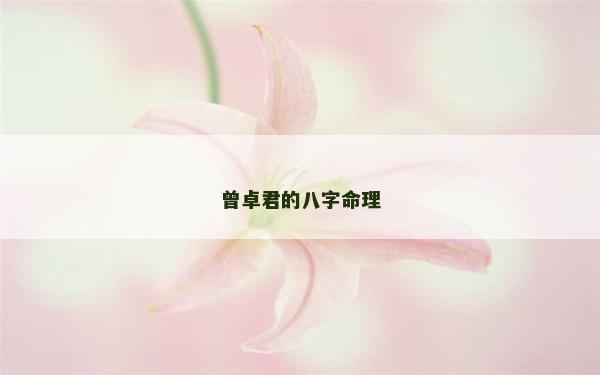 曾卓君的八字命理