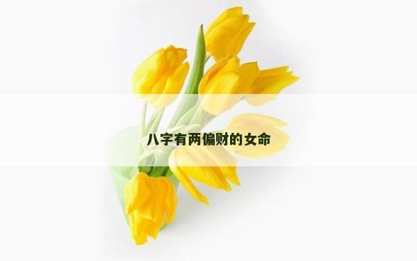 八字有两偏财的女命