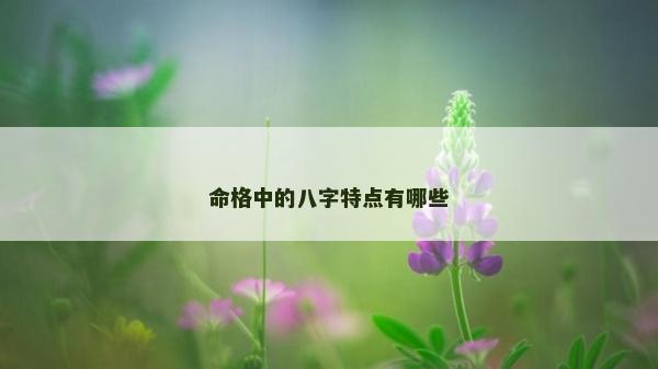 命格中的八字特点有哪些