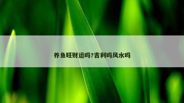 养鱼旺财运吗?吉利吗风水吗