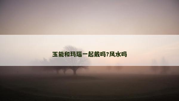 玉能和玛瑙一起戴吗?风水吗