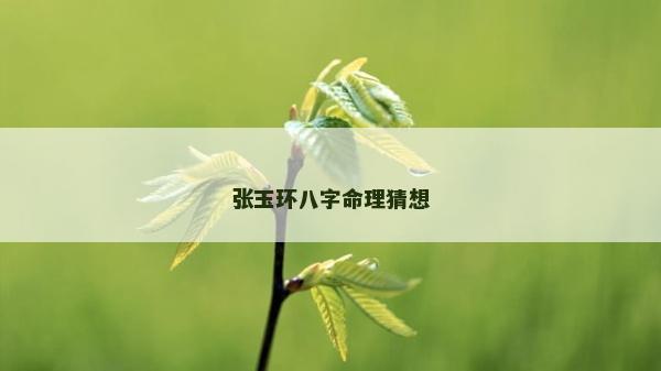 张玉环八字命理猜想