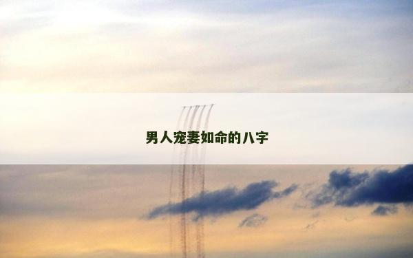 男人宠妻如命的八字