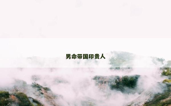 男命带国印贵人