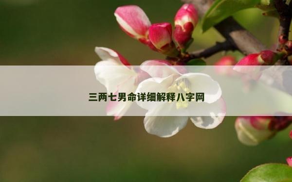 三两七男命详细解释八字网