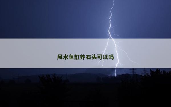 风水鱼缸养石头可以吗