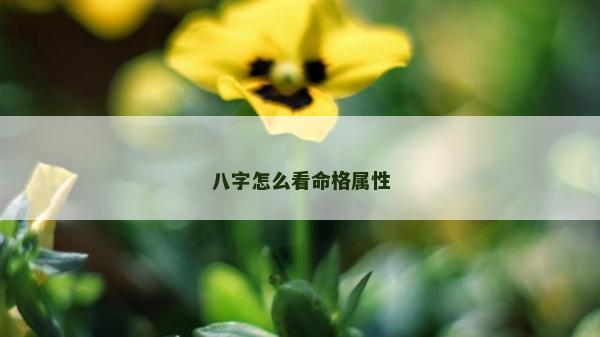 八字怎么看命格属性