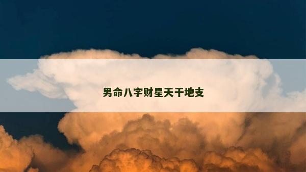 男命八字财星天干地支