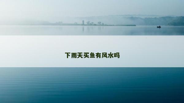 下雨天买鱼有风水吗