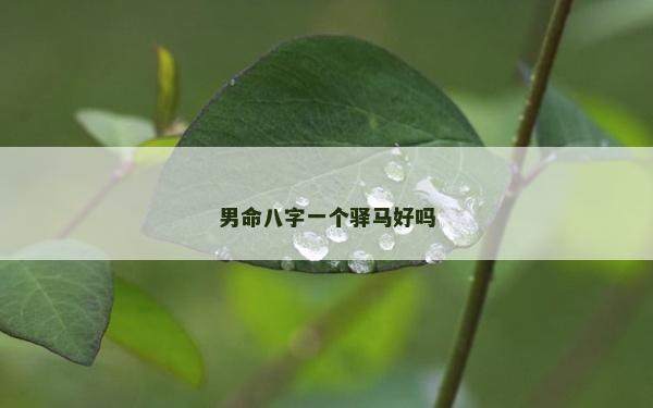 男命八字一个驿马好吗