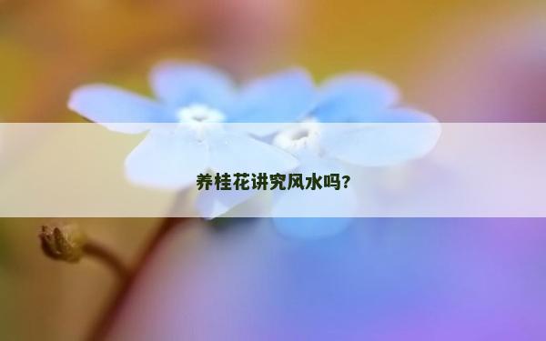 养桂花讲究风水吗?