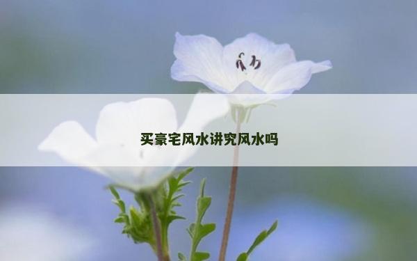 买豪宅风水讲究风水吗