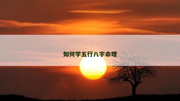 如何学五行八字命理