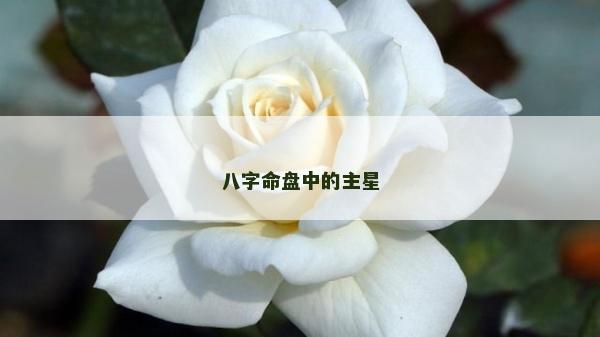 八字命盘中的主星