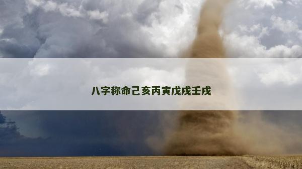 八字称命己亥丙寅戊戌壬戌