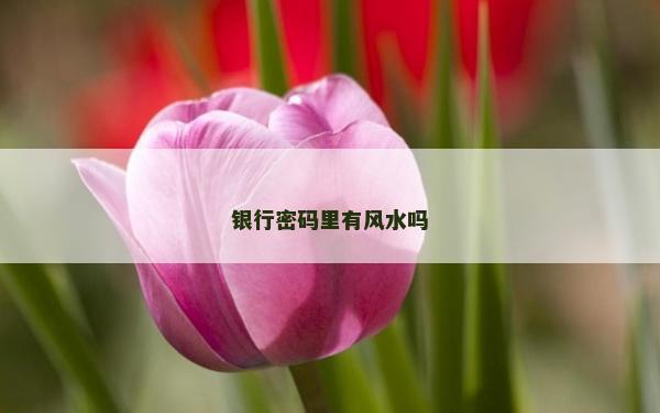 银行密码里有风水吗