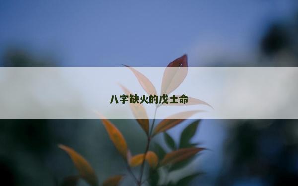 八字缺火的戊土命