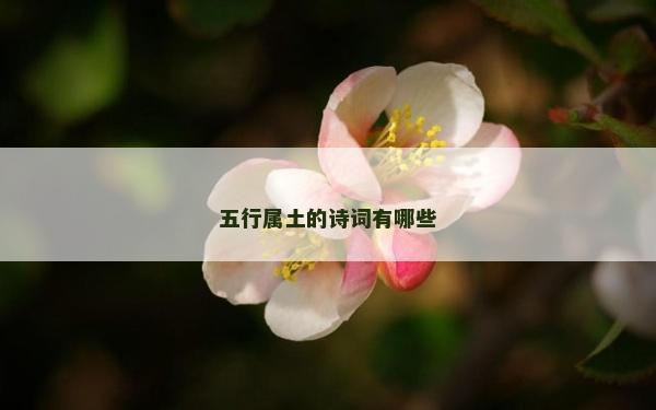五行属土的诗词有哪些