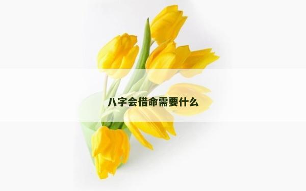 八字会借命需要什么