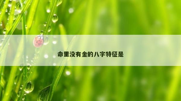 命里没有金的八字特征是