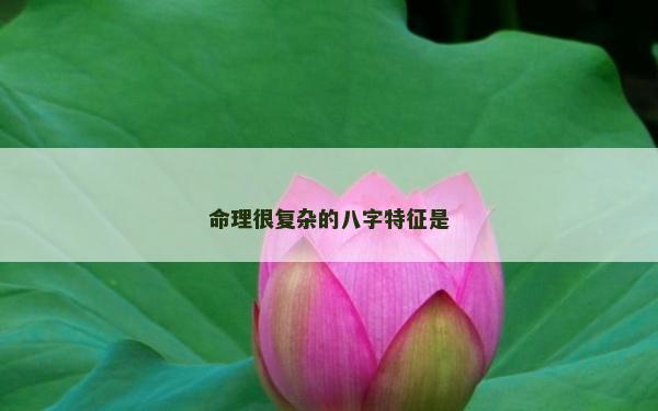 命理很复杂的八字特征是