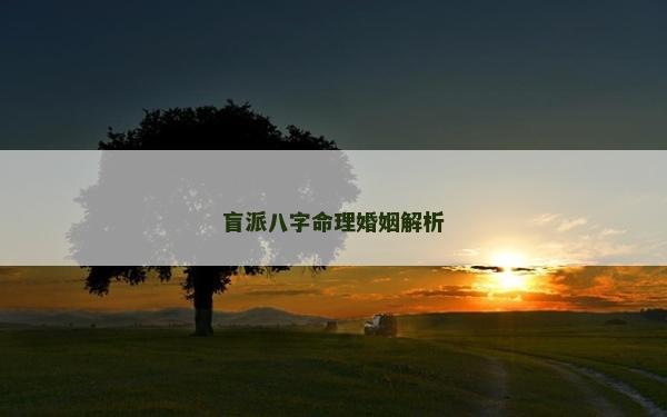 盲派八字命理婚姻解析