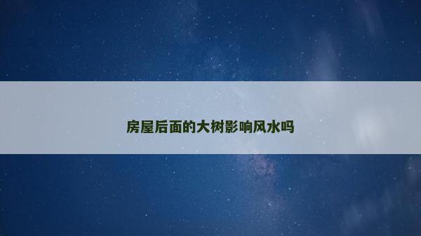 房屋后面的大树影响风水吗