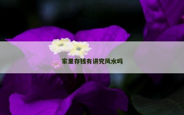 家里存钱有讲究风水吗