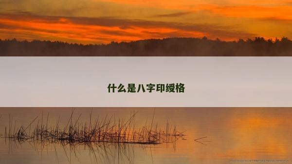 什么是八字印绶格