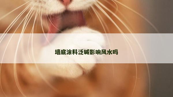 墙底涂料泛碱影响风水吗