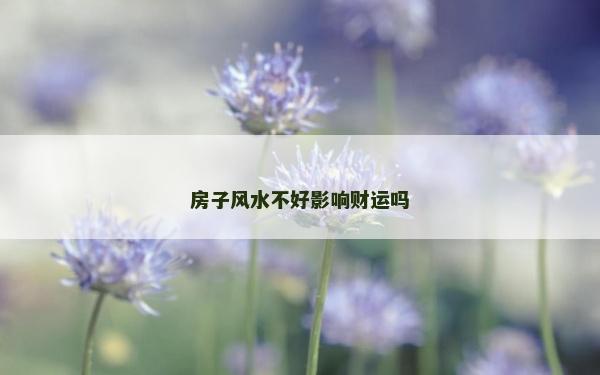 房子风水不好影响财运吗
