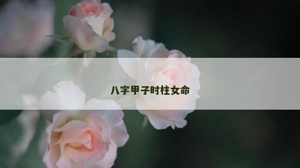 八字甲子时柱女命