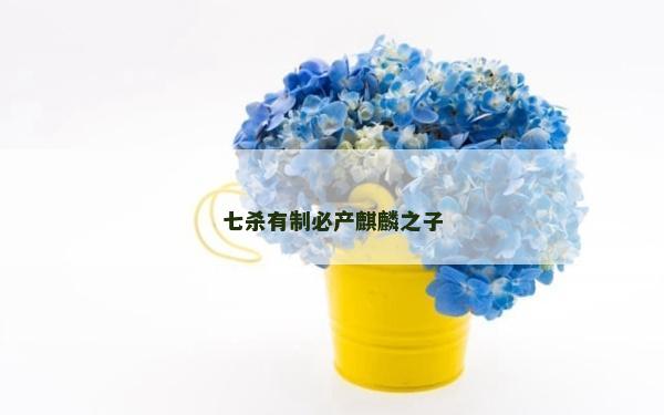 七杀有制必产麒麟之子
