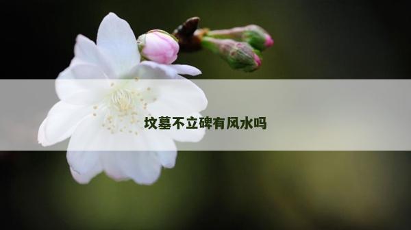 坟墓不立碑有风水吗