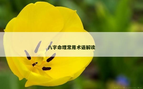 八字命理常用术语解读