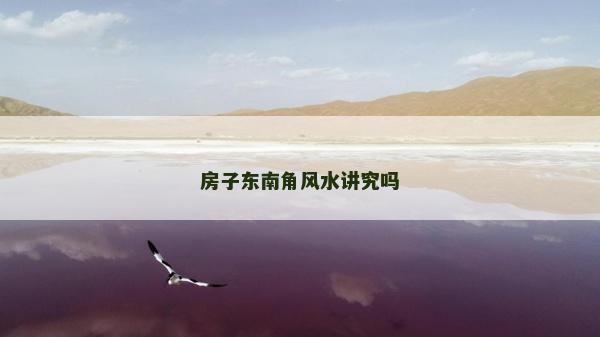房子东南角风水讲究吗