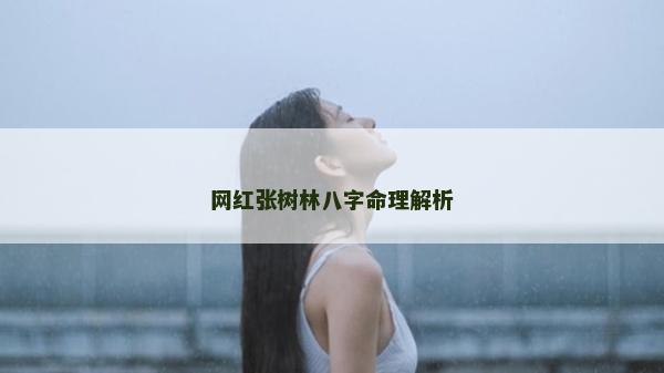 网红张树林八字命理解析