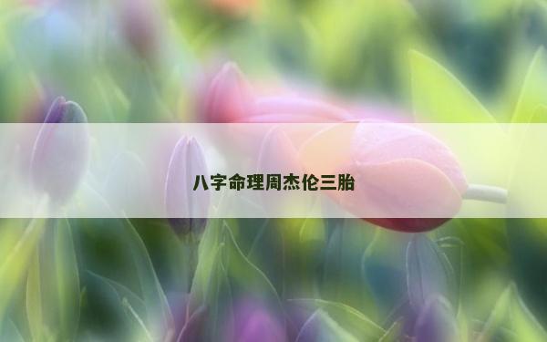 八字命理周杰伦三胎
