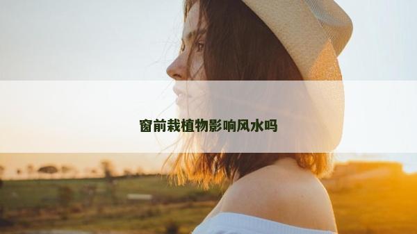 窗前栽植物影响风水吗