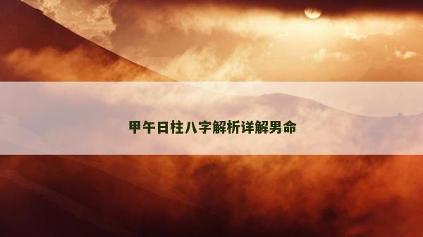 甲午日柱八字解析详解男命